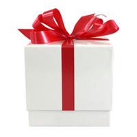 This product photo has no effects applied to it, just clean edges. No Effects Product Photo