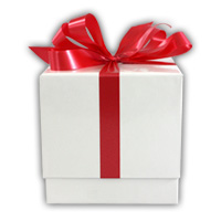 This product photo has an outer glow effect applied to it. Outer Glow Effect Product Photo